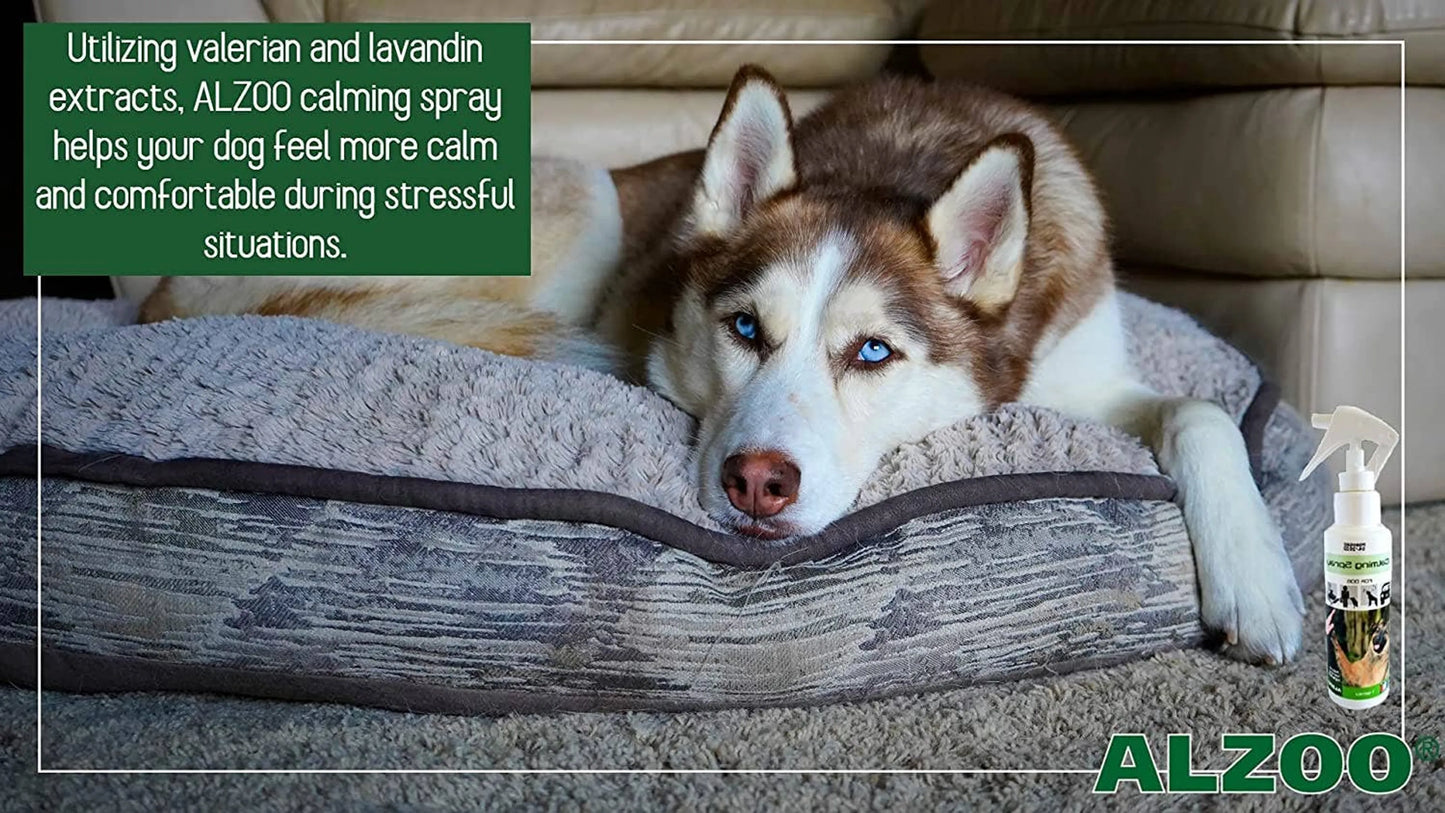 Dog lying on a bed with ALZOO calming spray bottle and text about valerian and lavender extracts.