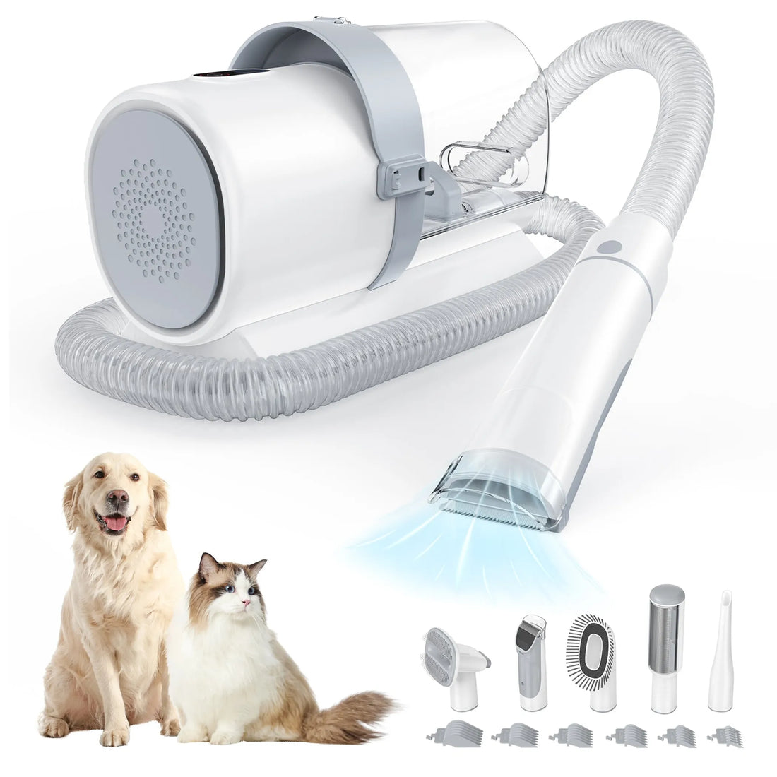 Spring Shedding Season: Managing Your Dog's Coat