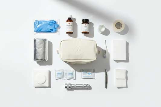 Pet First Aid Essentials: What Every Dog Owner Should Have on Hand