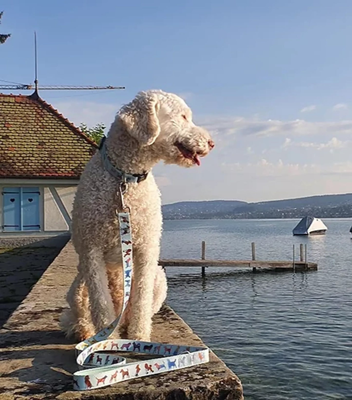 Dog sitting on a dock by a lake with a house and mountains in the background