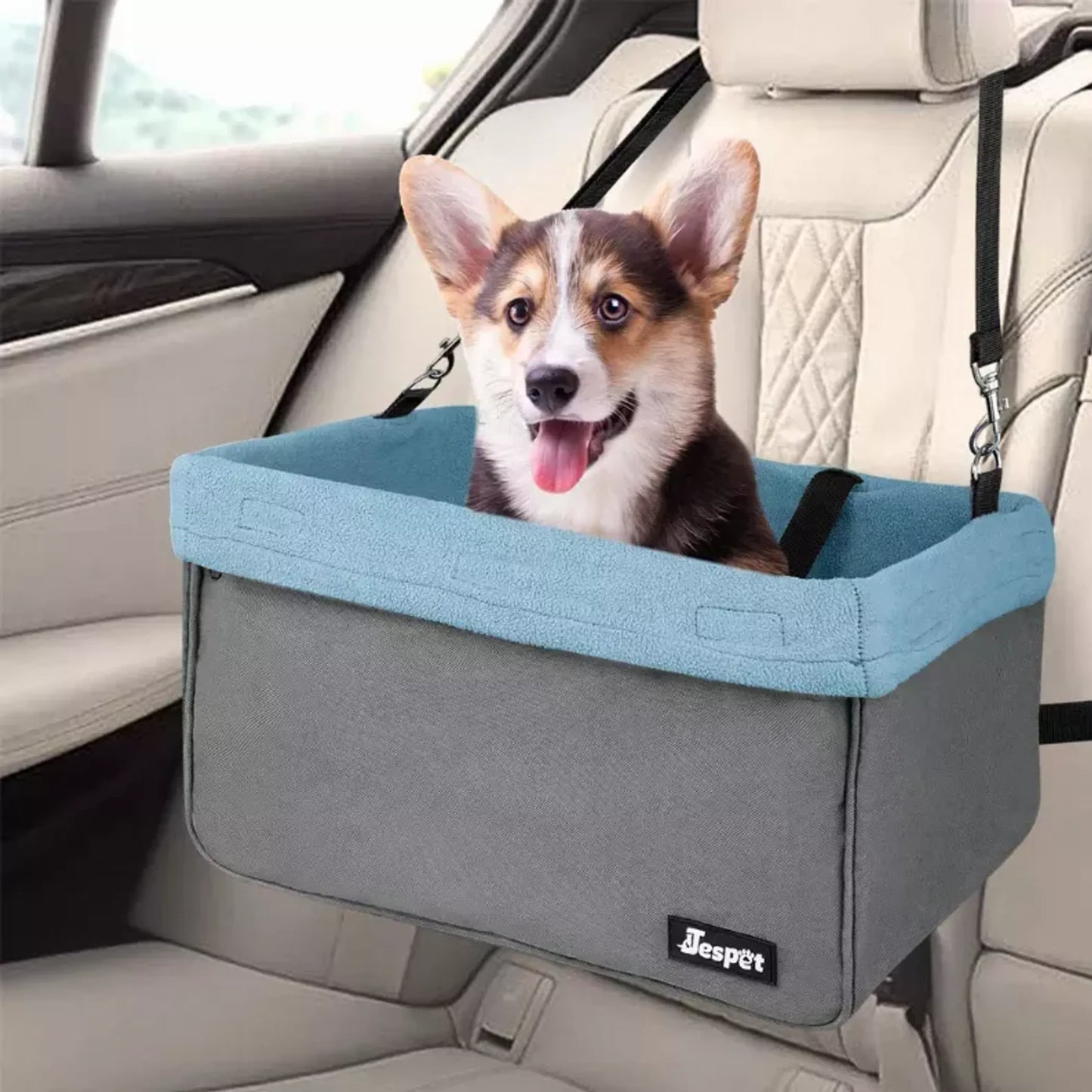 Dog in a gray and blue pet seat in a car