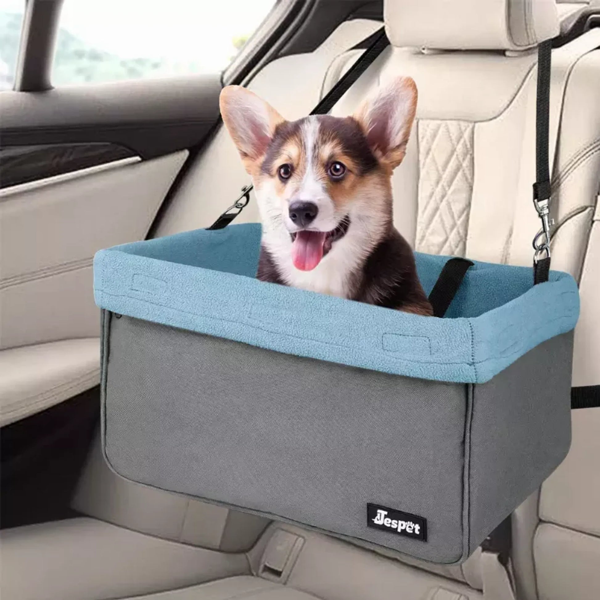 Dog in a gray and blue pet seat in a car