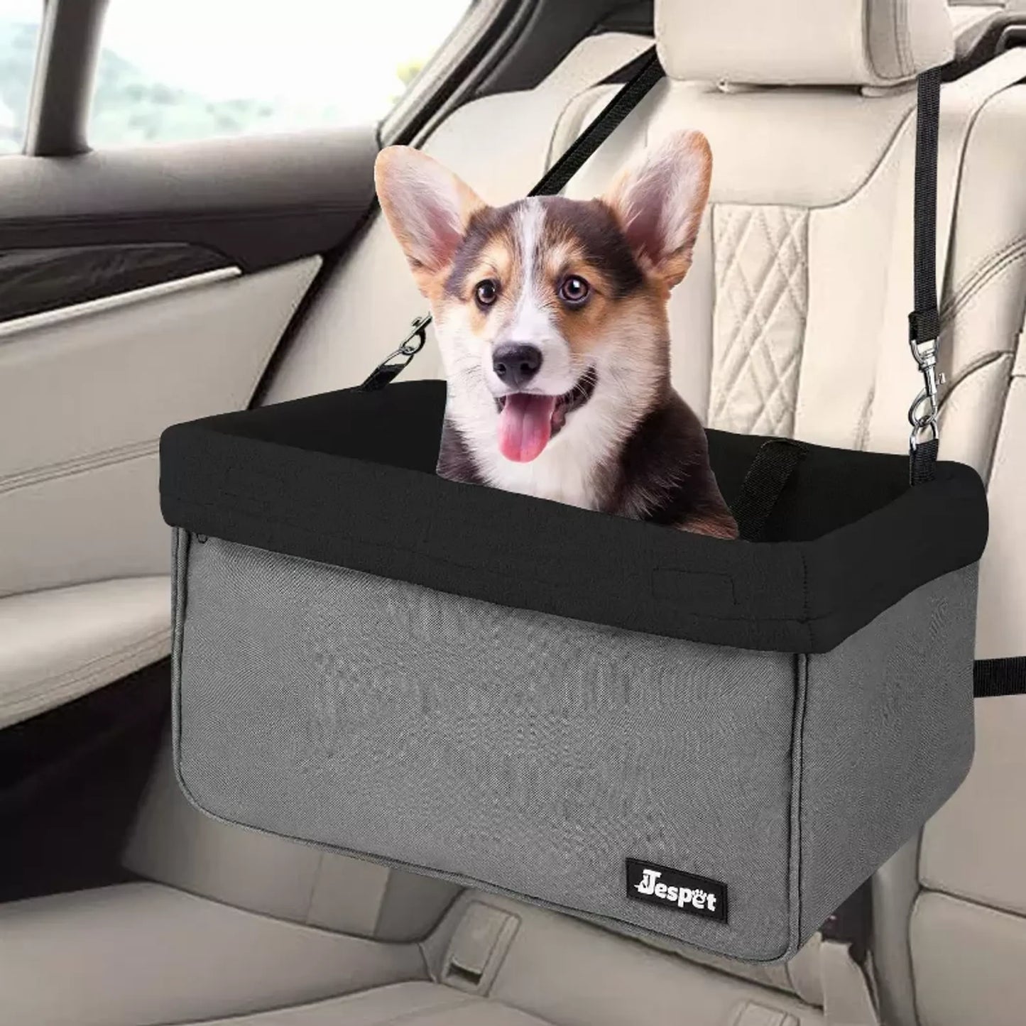 Dog sitting in a car seat booster in a vehicle