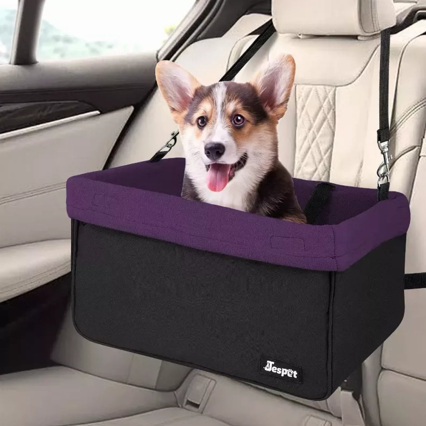 Dog sitting in a purple and black pet car seat in a car.