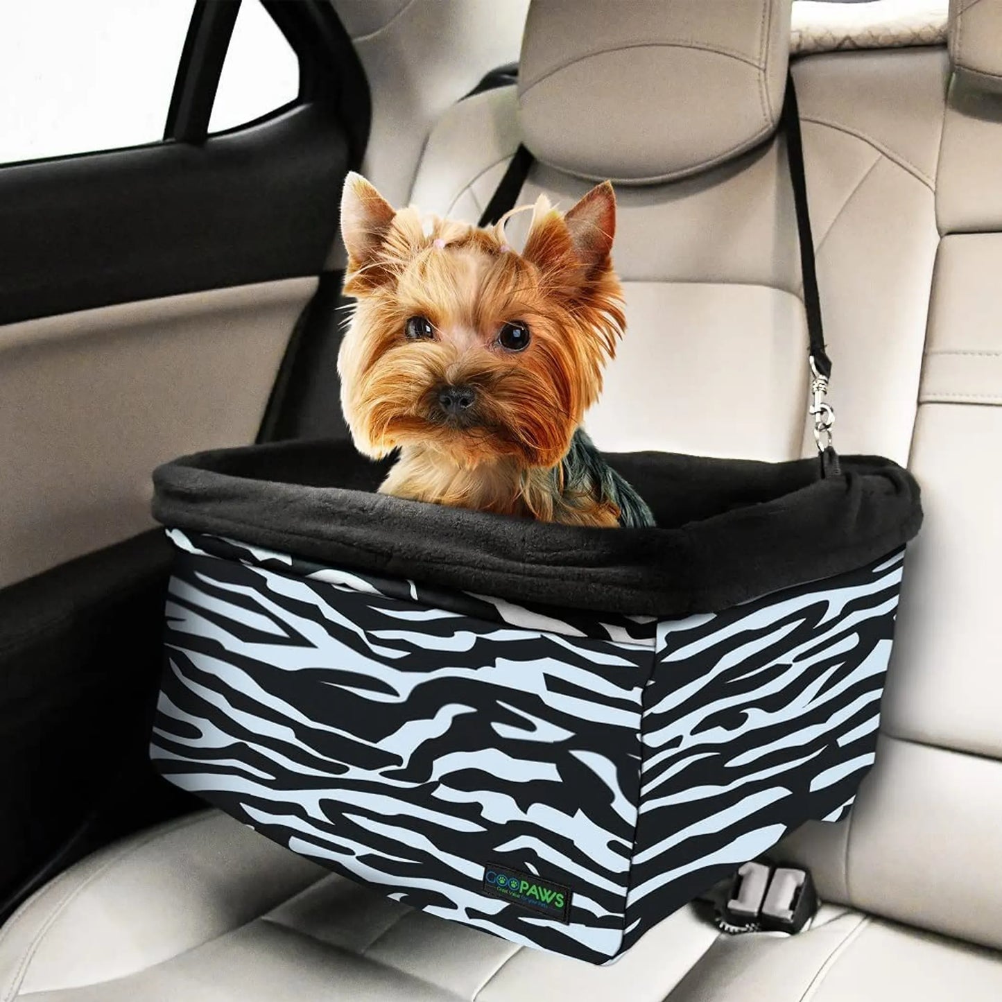 Dog sitting in a zebra-patterned car seat booster in a vehicle.