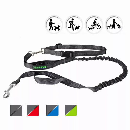 Black dog leash with adjustable clip on a white background