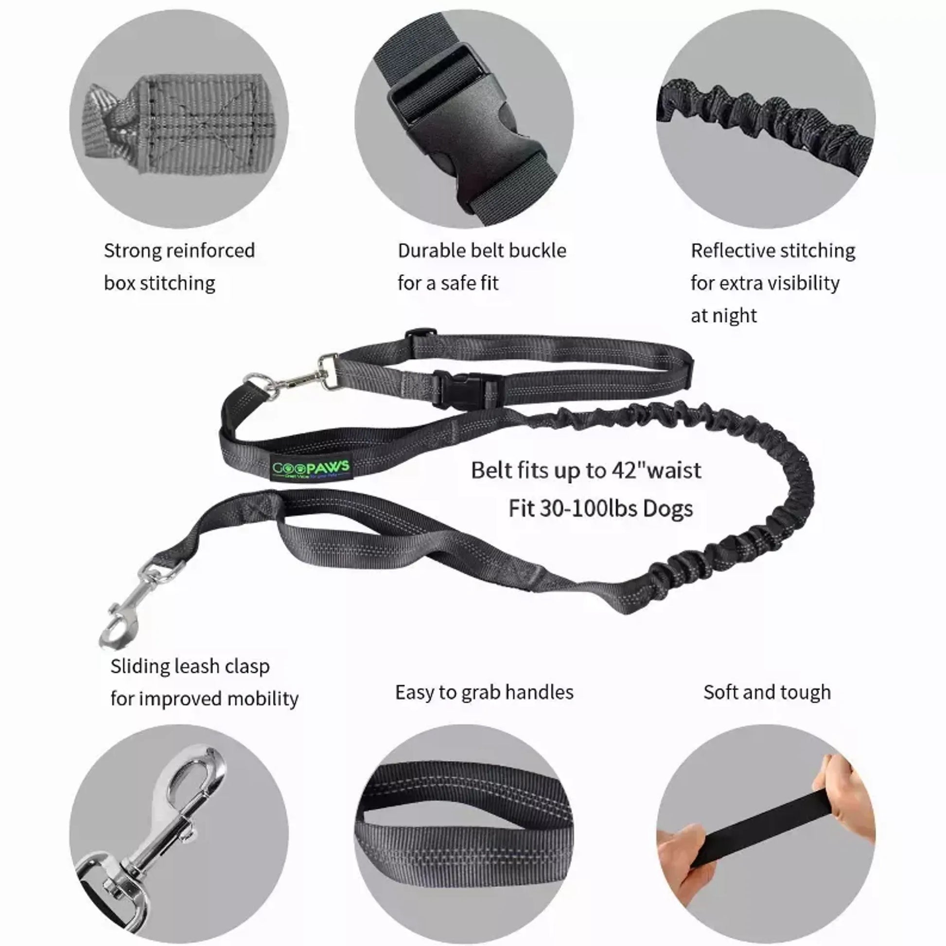 Dog leash with features highlighted on a white background