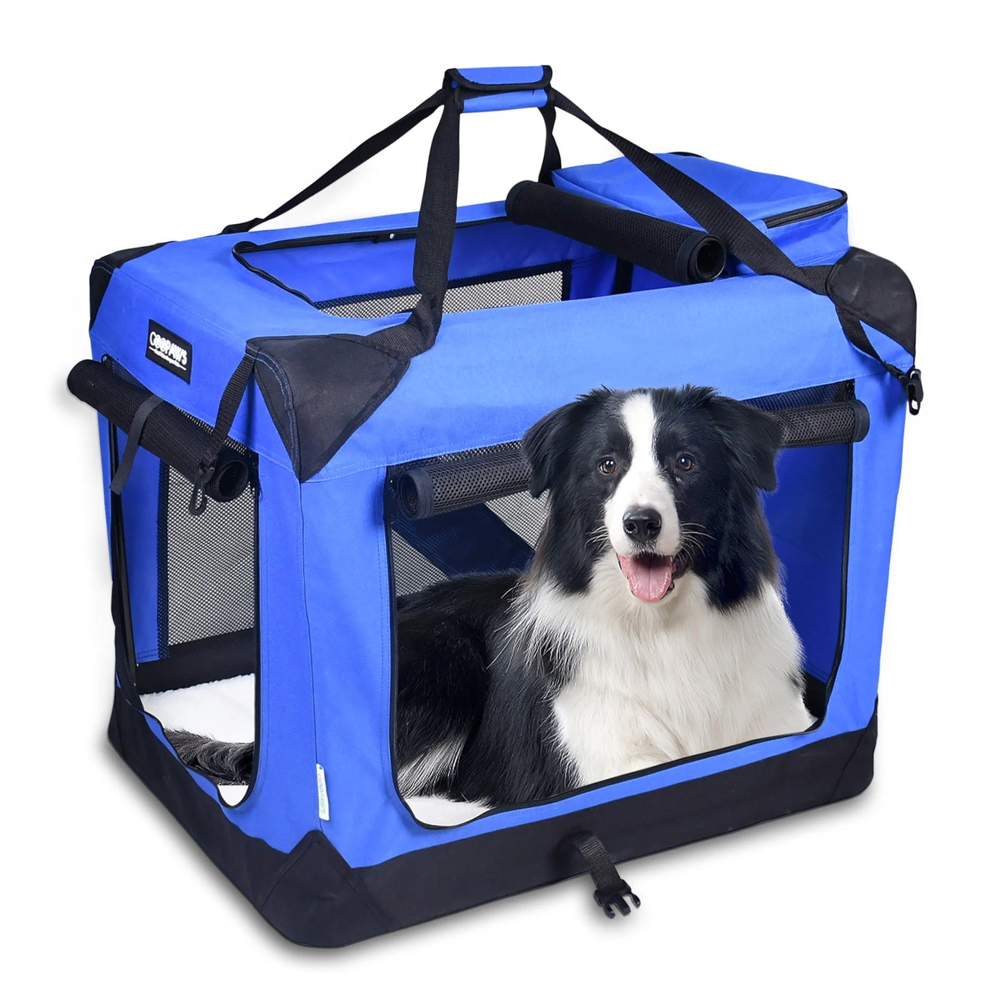 Blue pet carrier with a black and white dog inside on a white background
