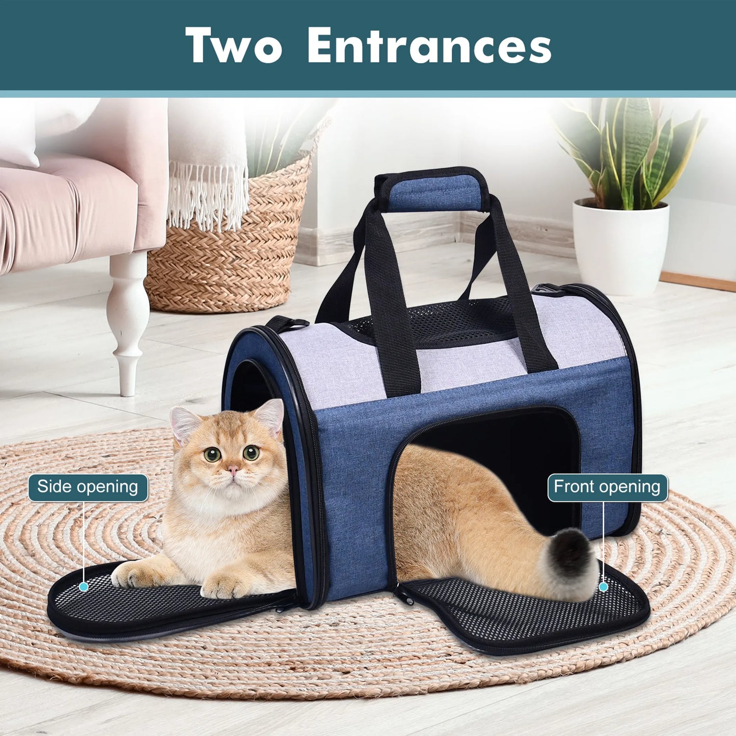 Pet carrier with two entrances featuring a cat inside, on a wooden floor.