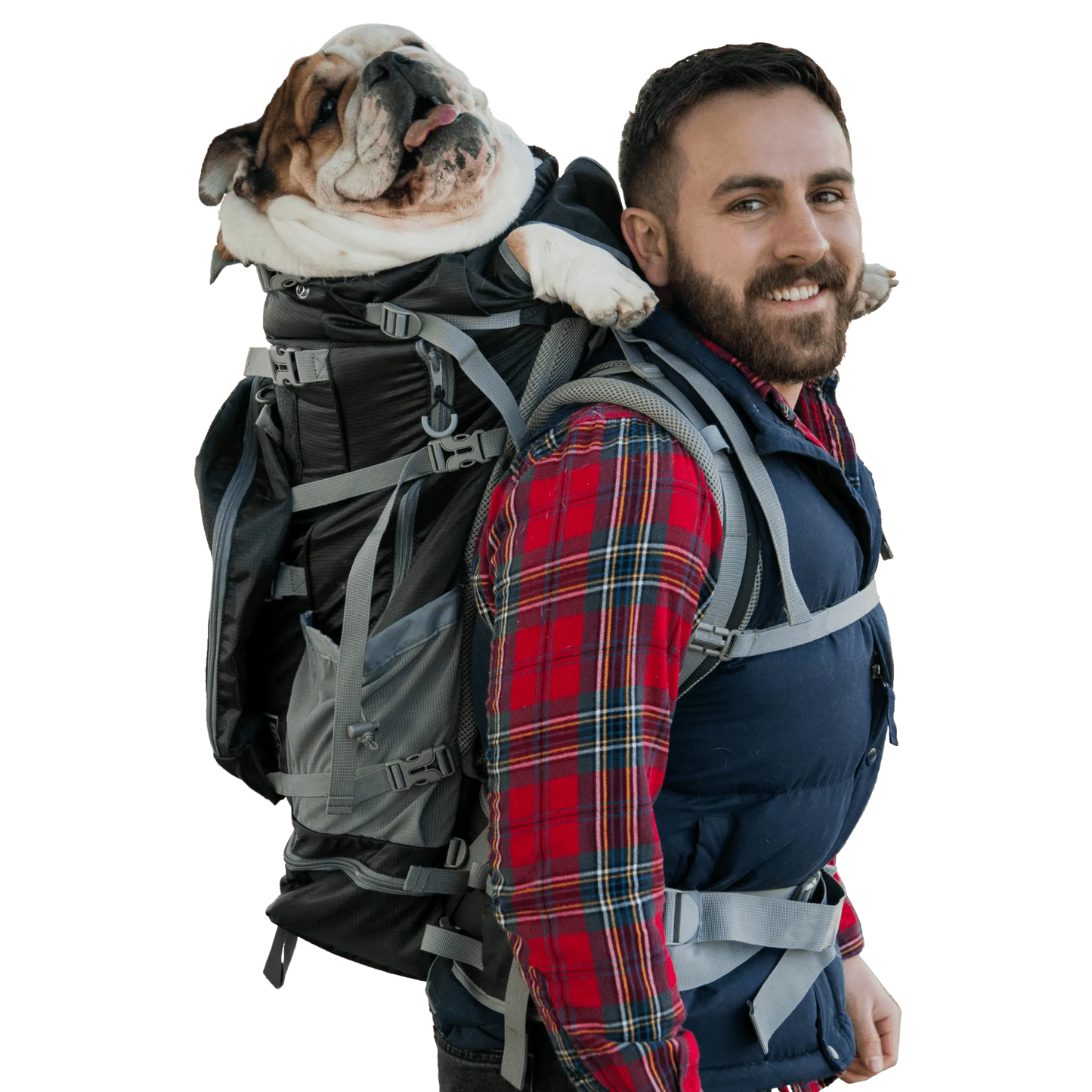 Man with a backpack carrying a dog on his shoulders against a white background