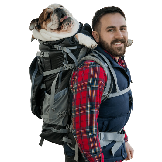 Man with a backpack carrying a dog on his shoulders against a white background