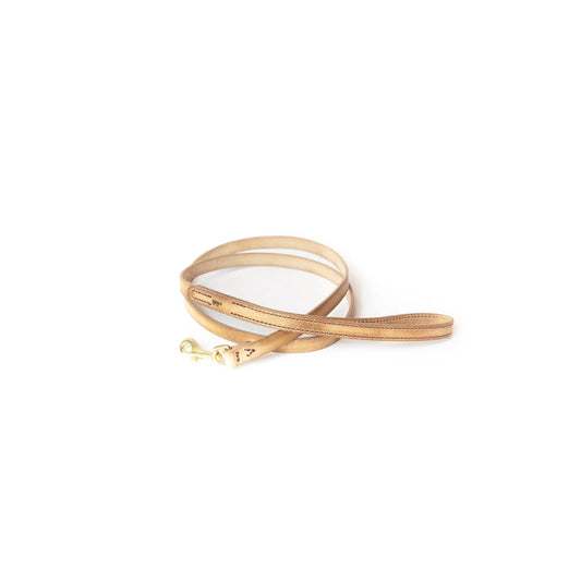 Gold dog leash on a white background