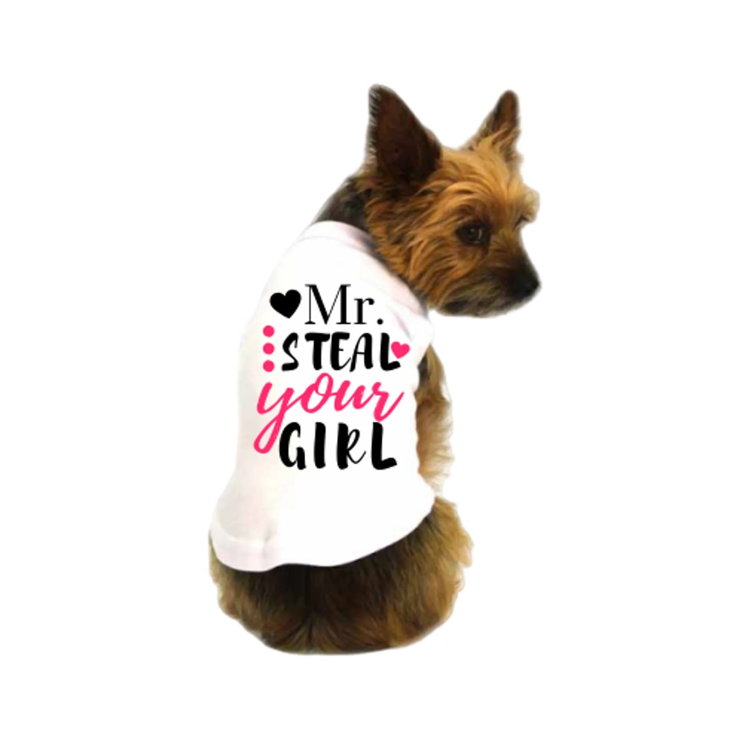 Dog wearing a white shirt with text 'Mr. Steal Your Girl' on a white background