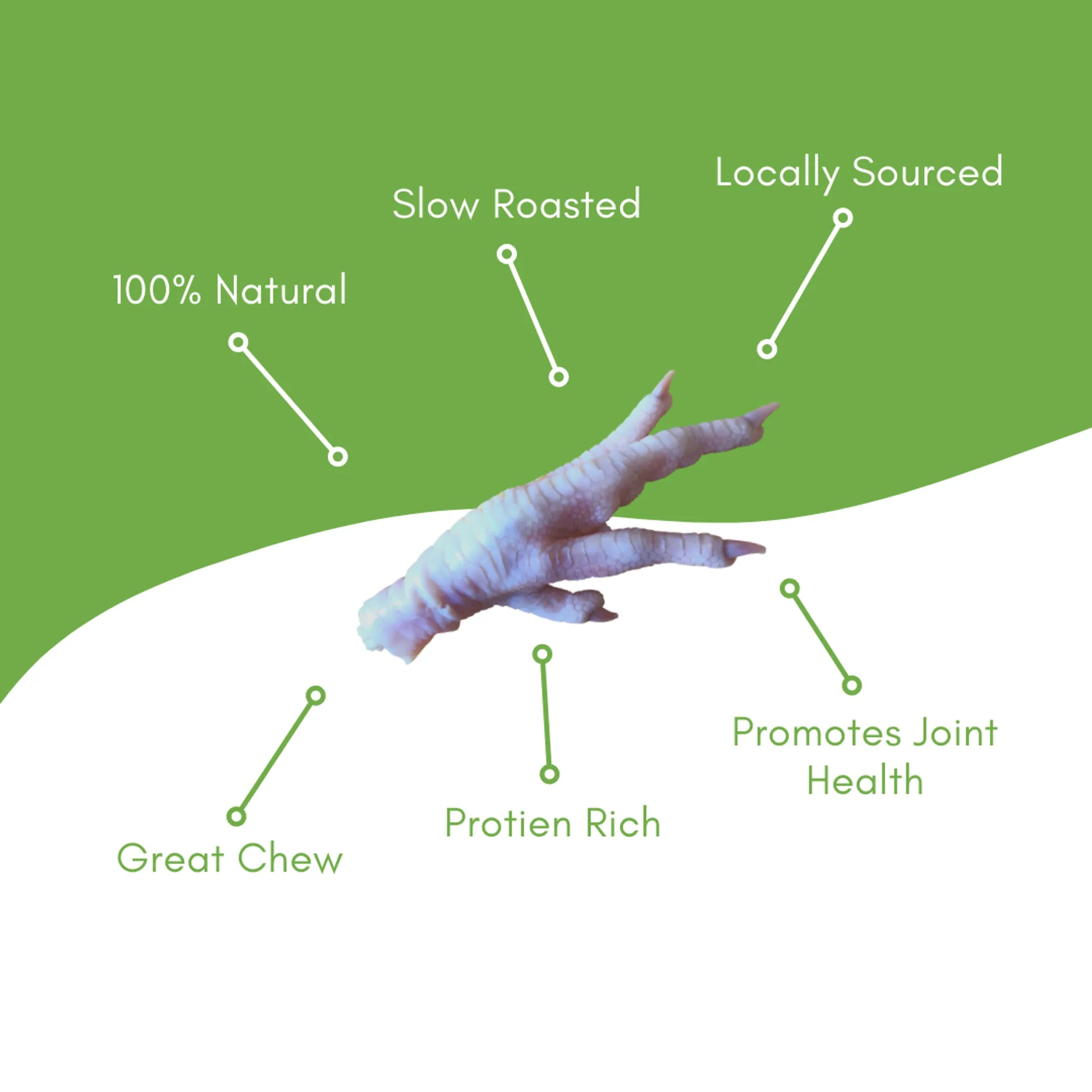 Duck foot on a green and white background