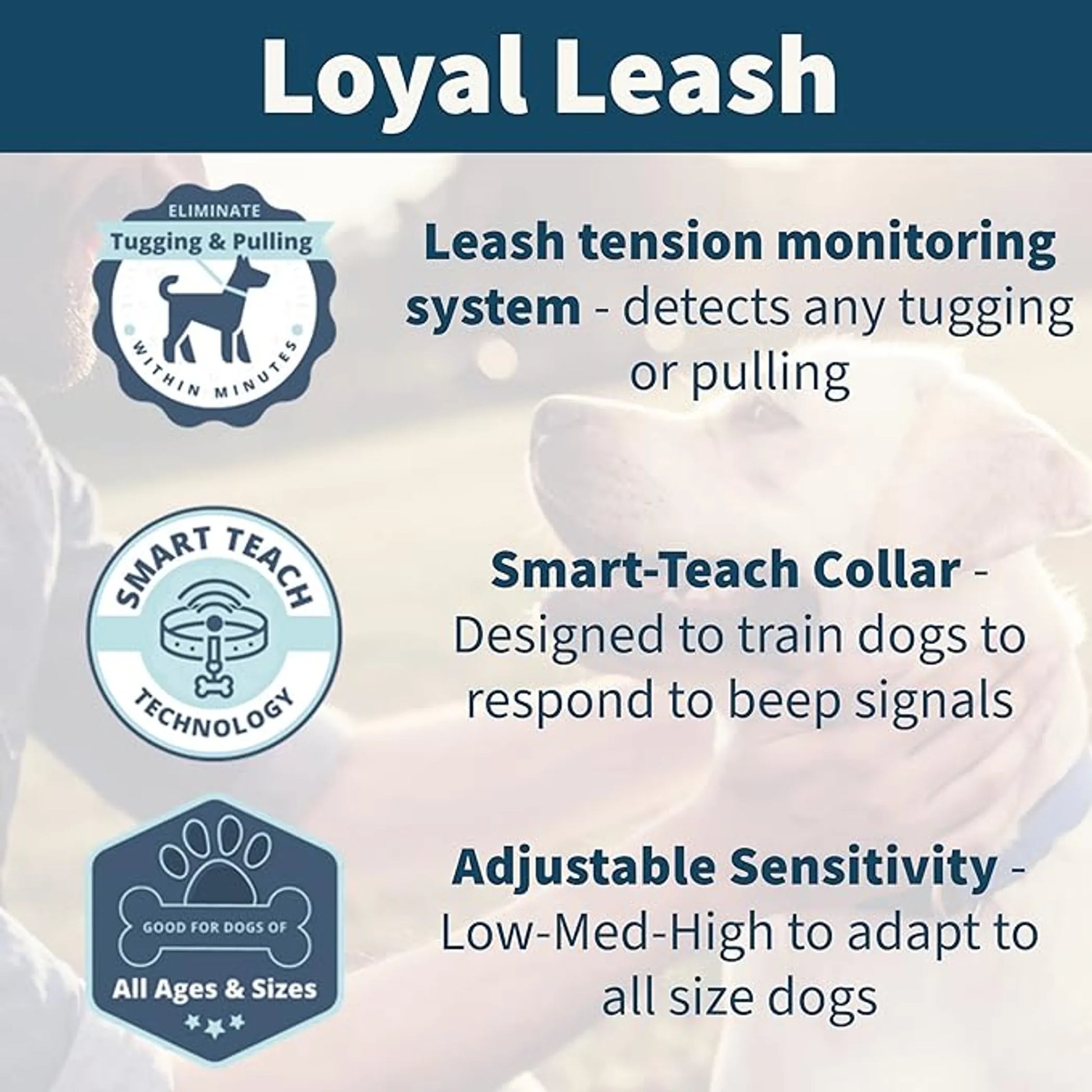 Advertisement for Loyal Leash with features highlighted on a light background