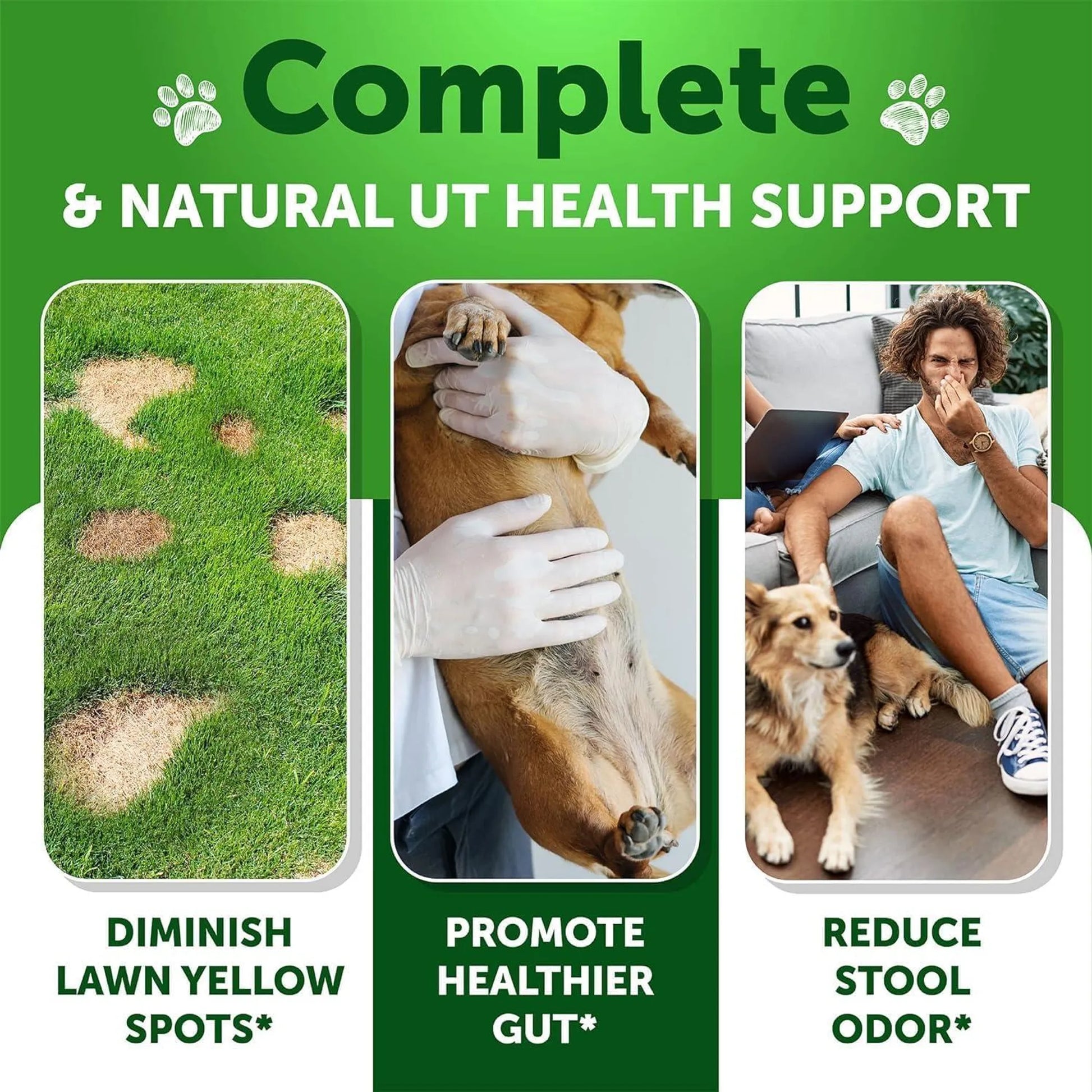 Advertisement for Complete UT Health Support with images of grass, a dog, and a person with a dog on a couch.