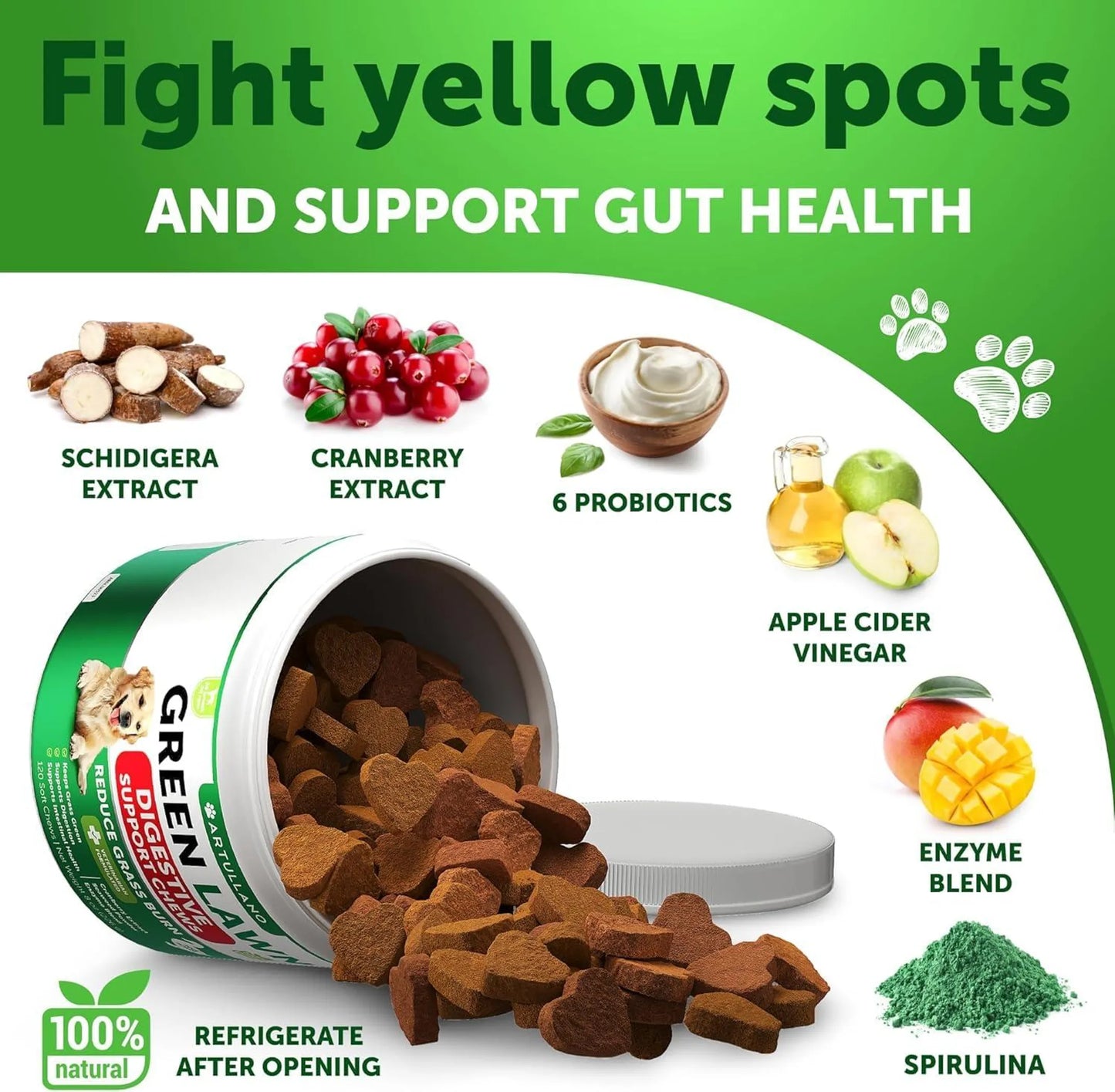 Dog food with health benefits and ingredients on a green background