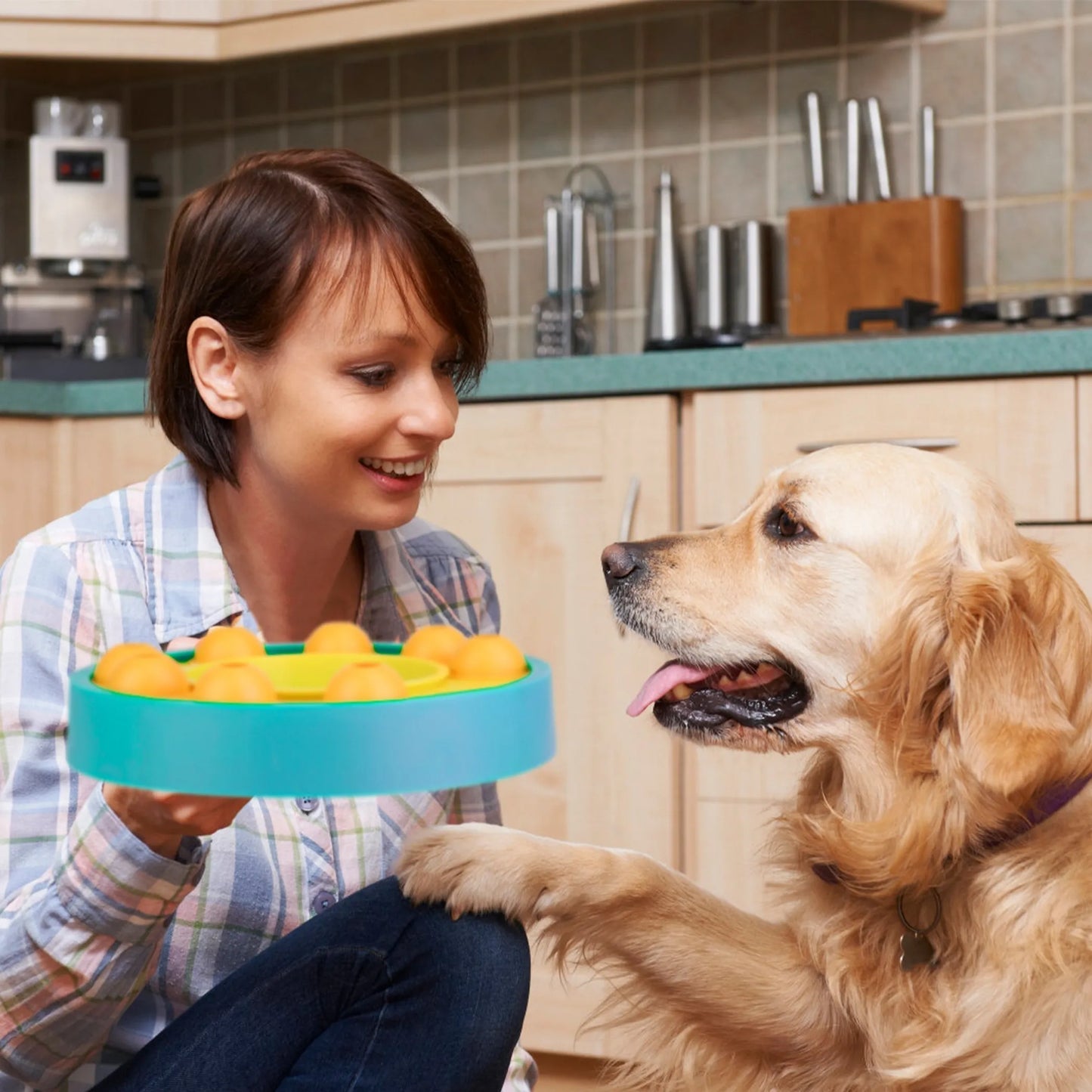 Woman holding a blue and green pet toy with a dog in a kitchen setting