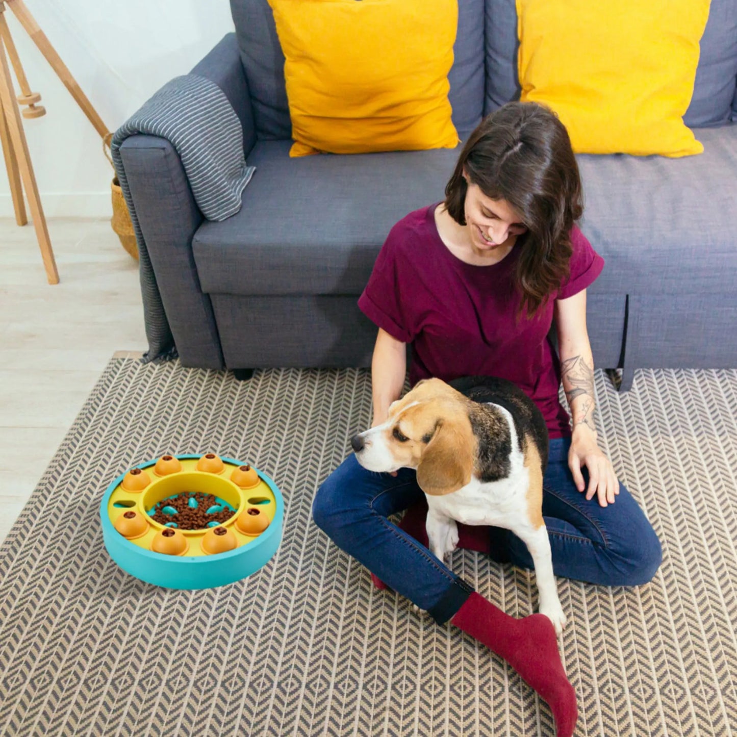 Woman sitting on the floor with a dog next to a blue and yellow pet toy in a living room.