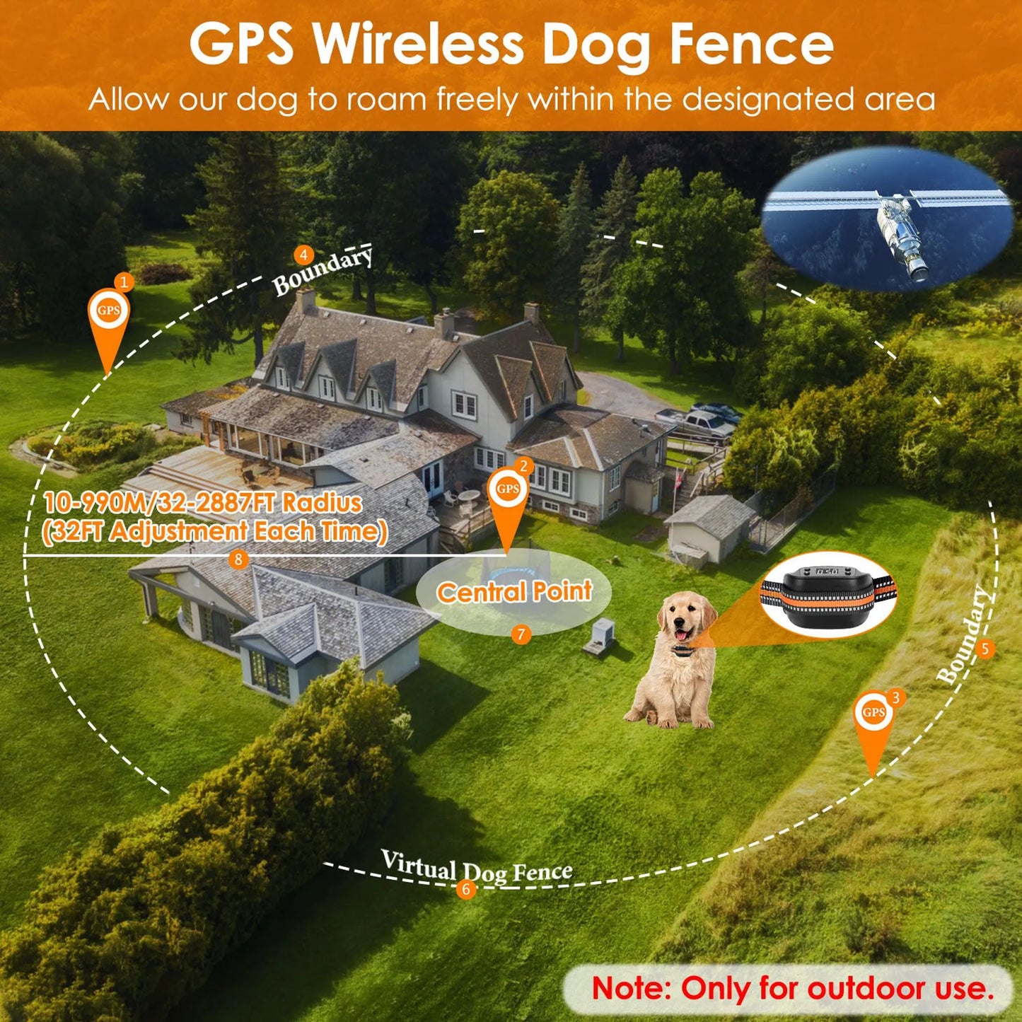 House and dog on property