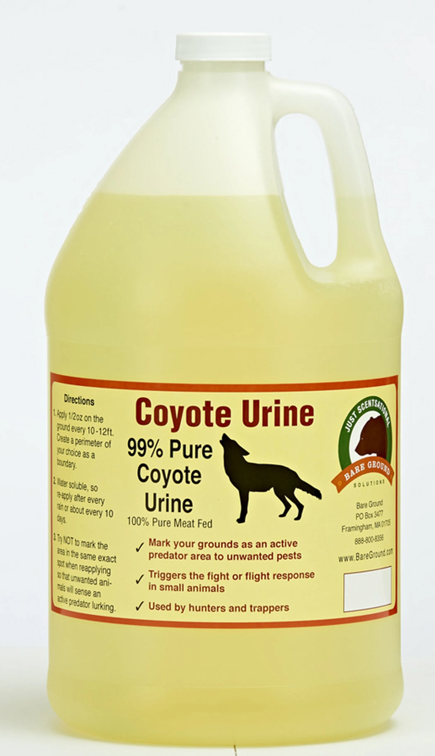 Gallon container of coyote urine with label on a white background