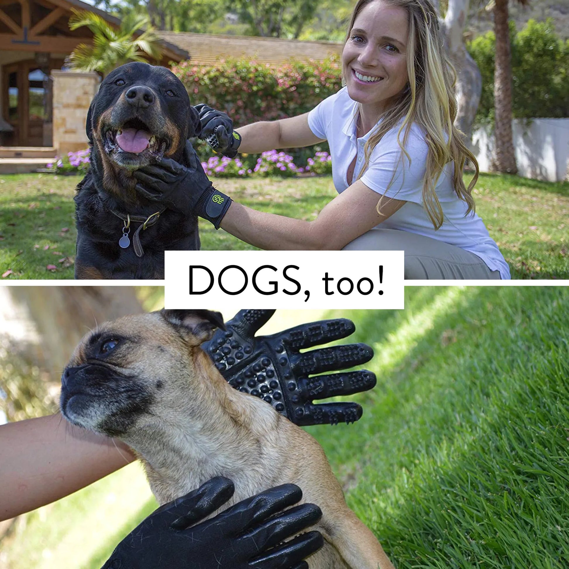 Person using grooming gloves on a dog and a cat with text 'DOGS, too!' in a garden setting.